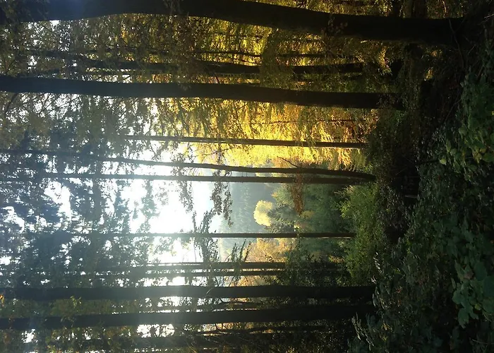 Historical Гуммерсбах