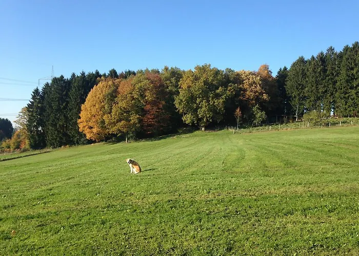 Historical Апартаменты Гуммерсбах